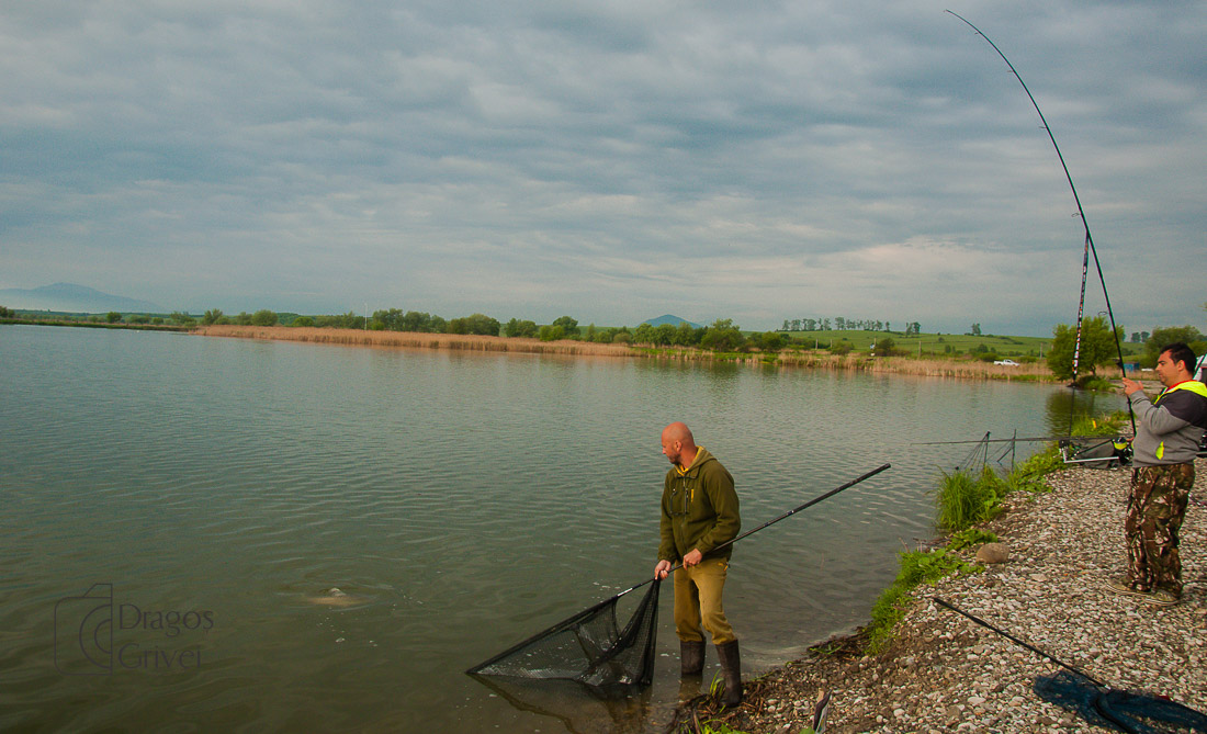 MC Boilies (43 of 57).jpg