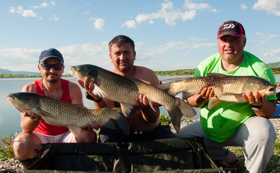 MC Boilies (8 of 118).jpg