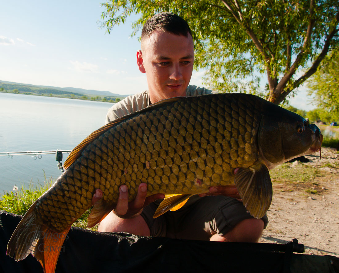 MC Boilies (20 of 118).jpg