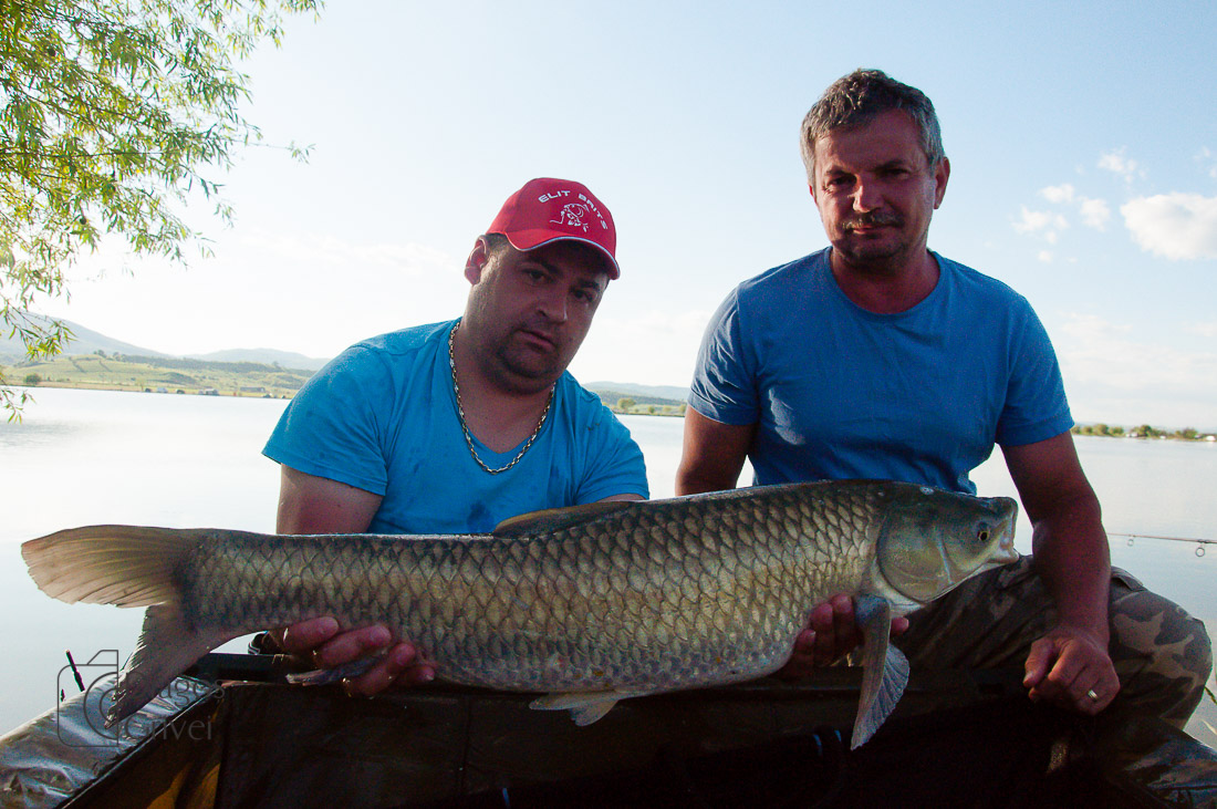 MC Boilies (17 of 118).jpg
