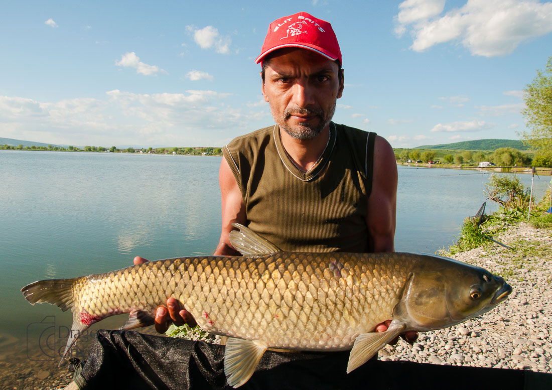 MC Boilies (12 of 118).jpg