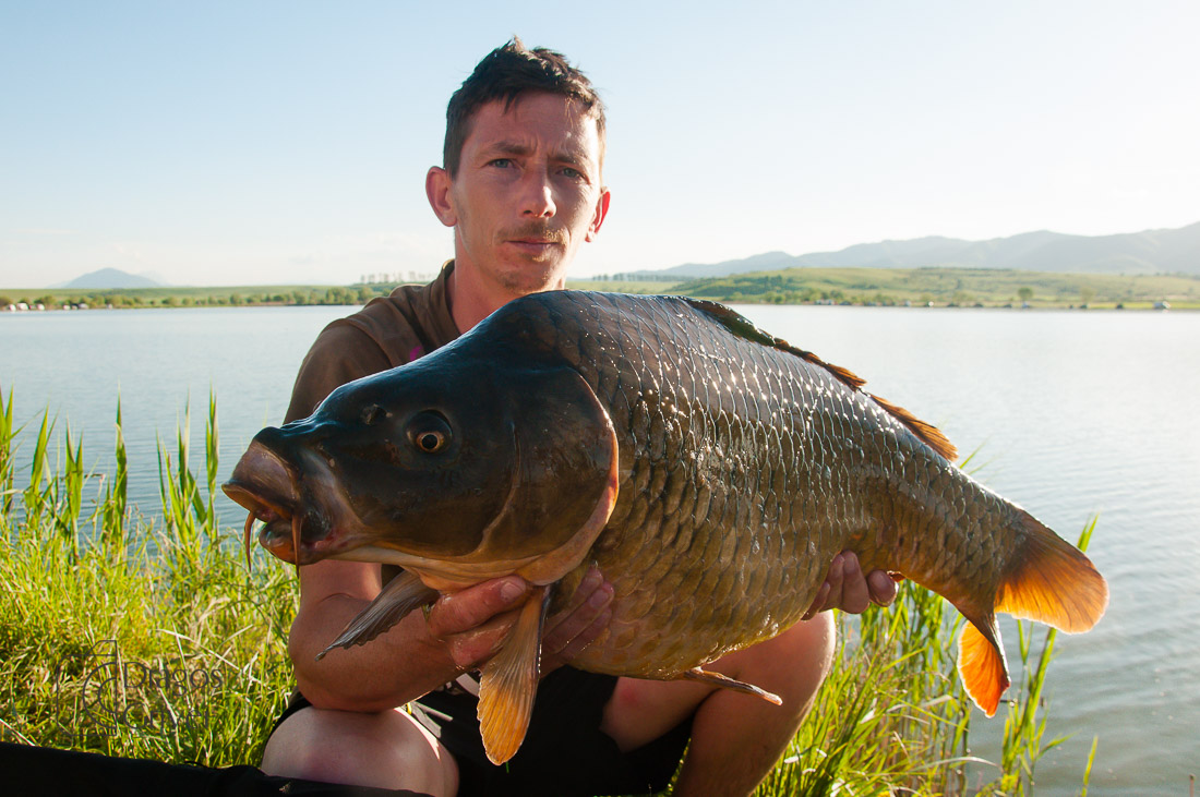 MC Boilies (27 of 118).jpg