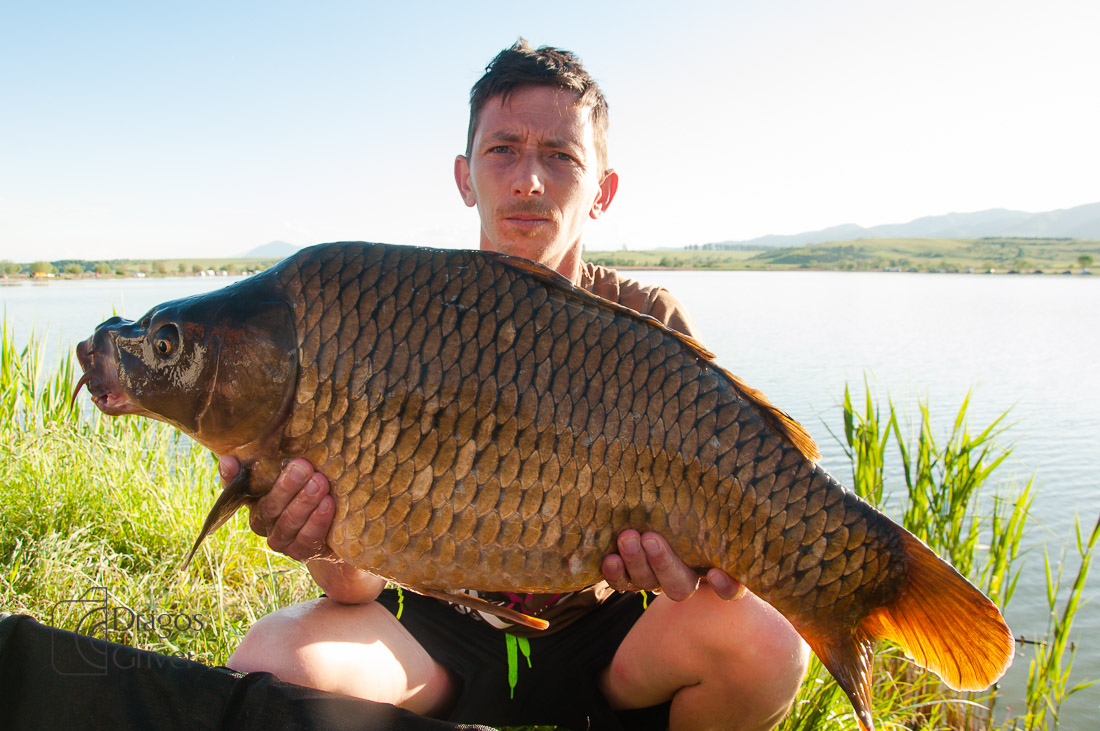 MC Boilies (26 of 118).jpg