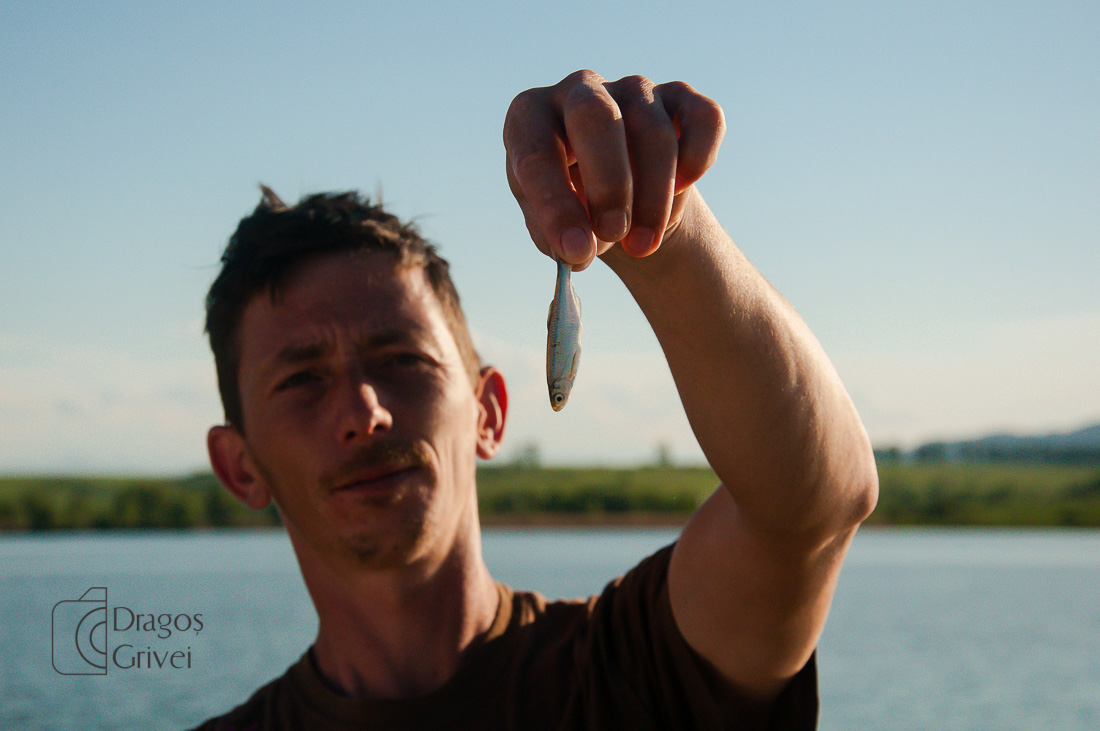 MC Boilies (25 of 118).jpg