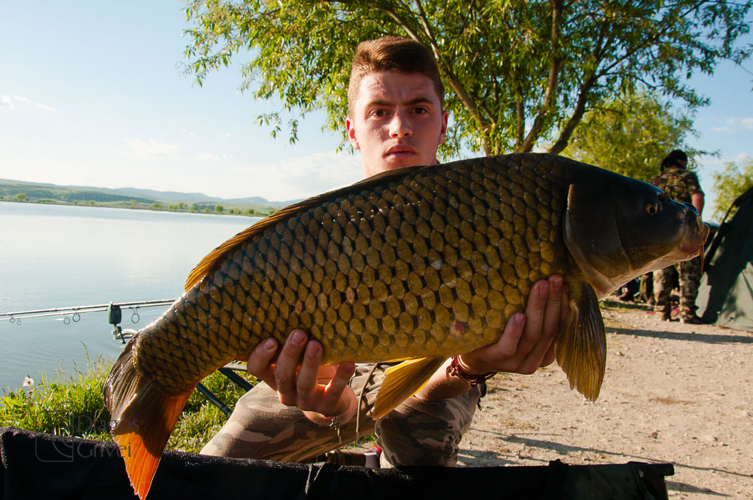 MC Boilies (21 of 118).jpg