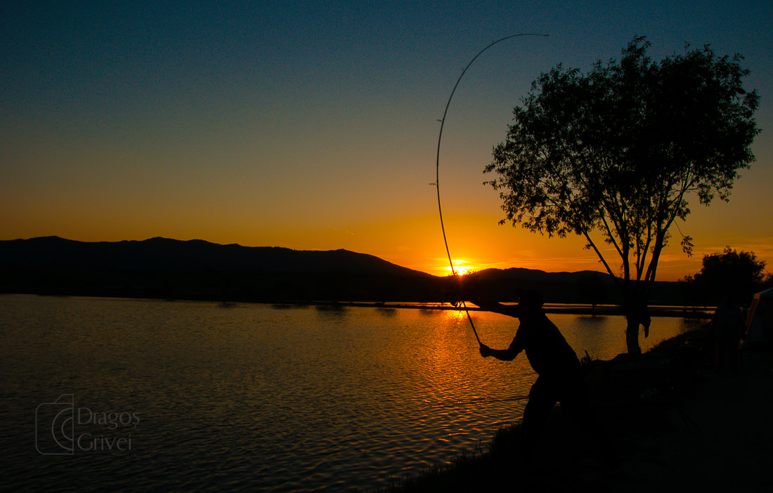 MC Boilies (38 of 118).jpg