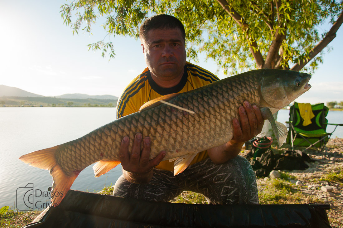 MC Boilies (35 of 118).jpg