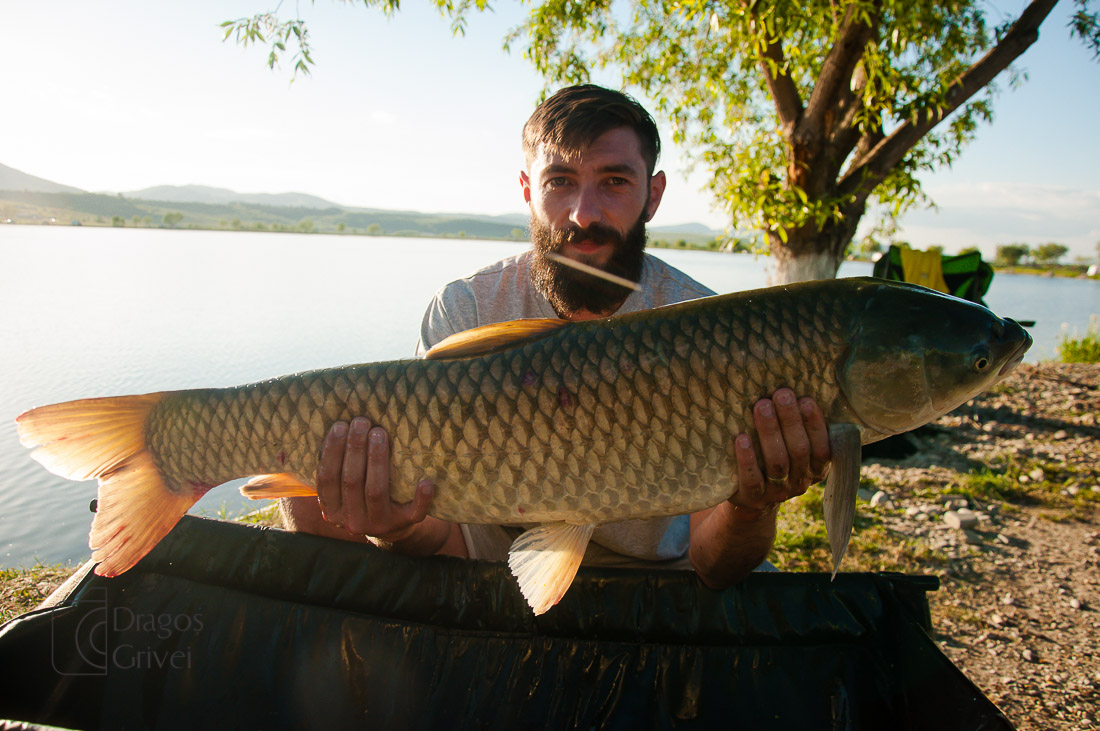 MC Boilies (34 of 118).jpg