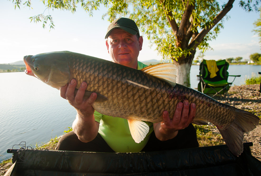 MC Boilies (33 of 118).jpg