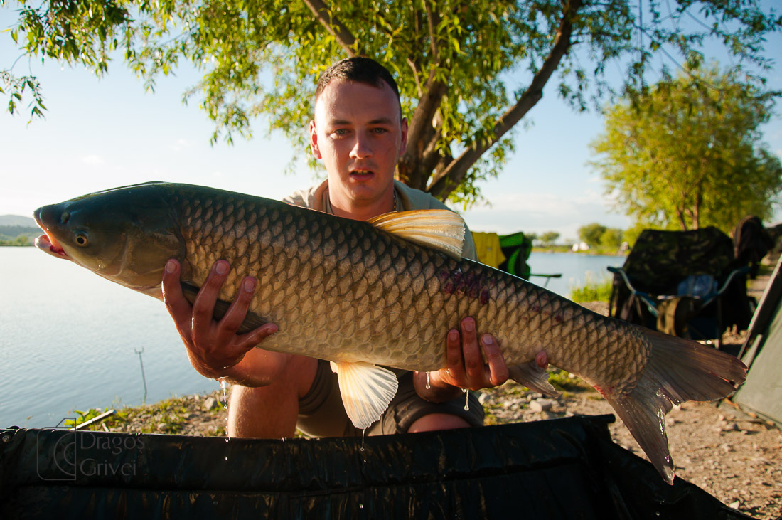 MC Boilies (32 of 118).jpg