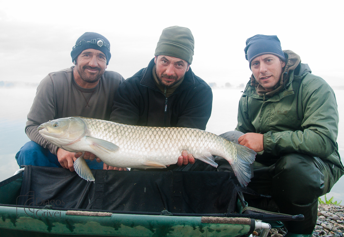 MC Boilies (48 of 118).jpg