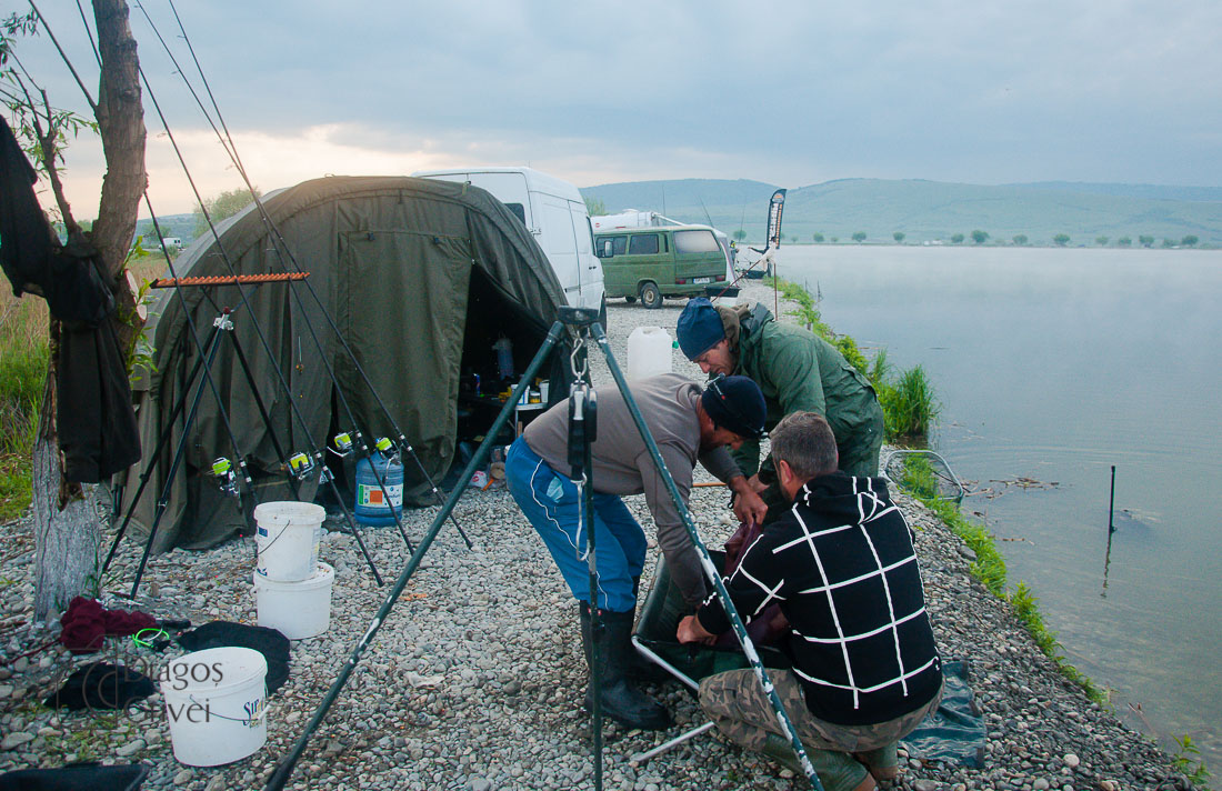 MC Boilies (46 of 118).jpg