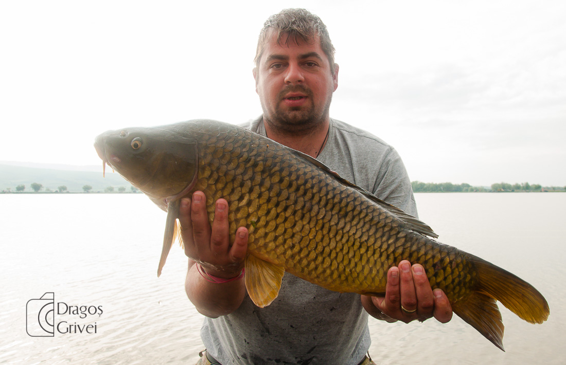 MC Boilies (56 of 118).jpg