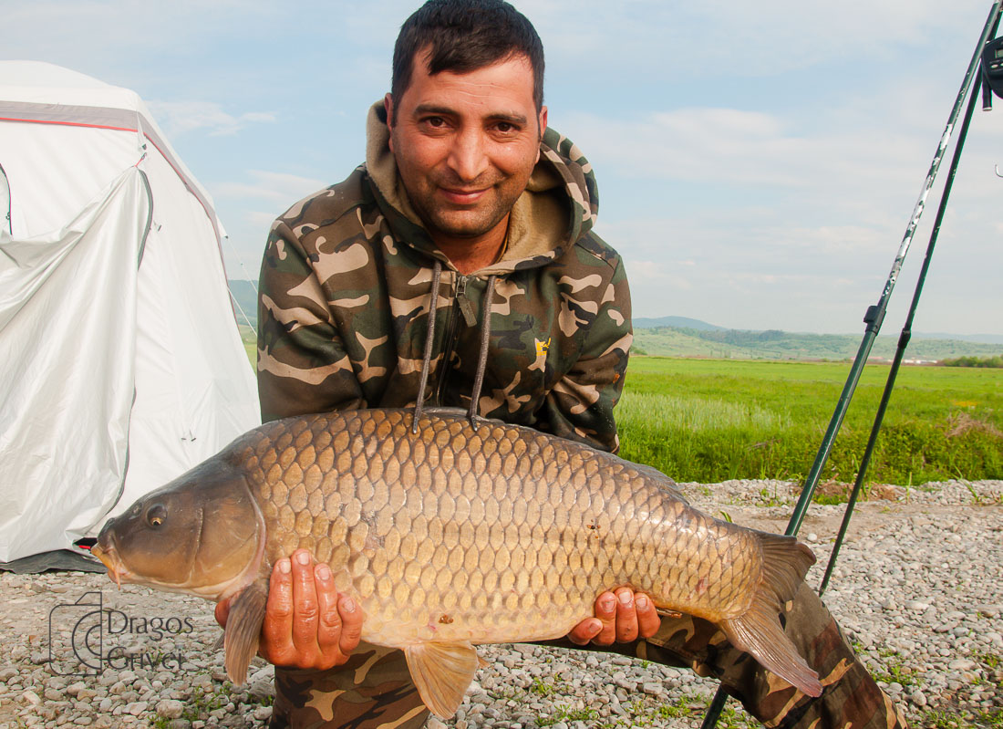 MC Boilies (55 of 118).jpg