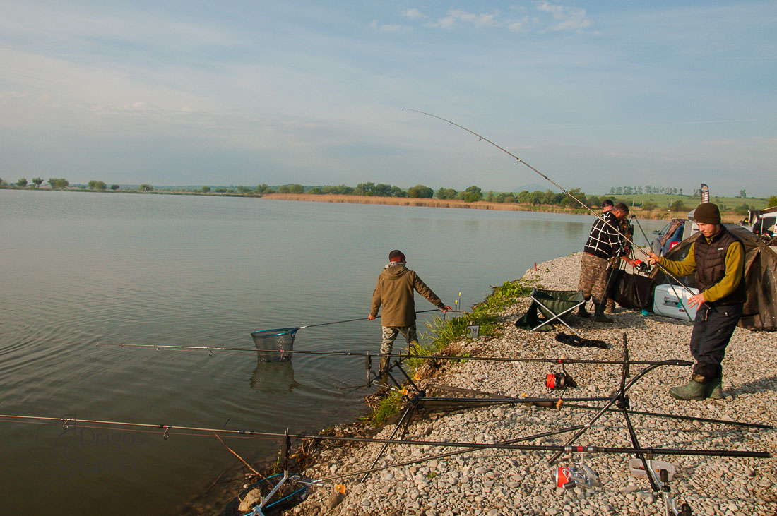 MC Boilies (54 of 118).jpg
