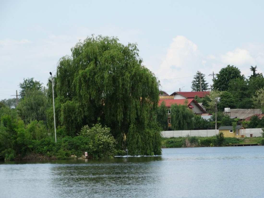 DSC02033 (Copy).JPG