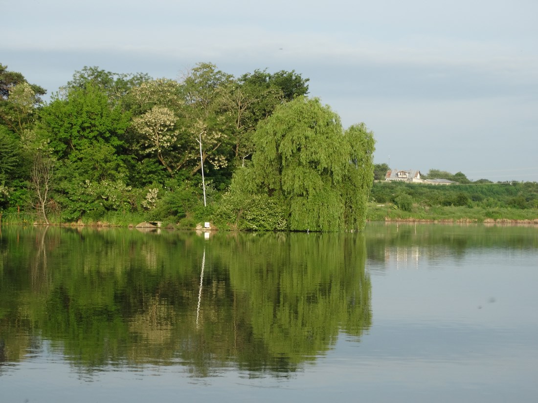 DSC02652 (Copy).JPG
