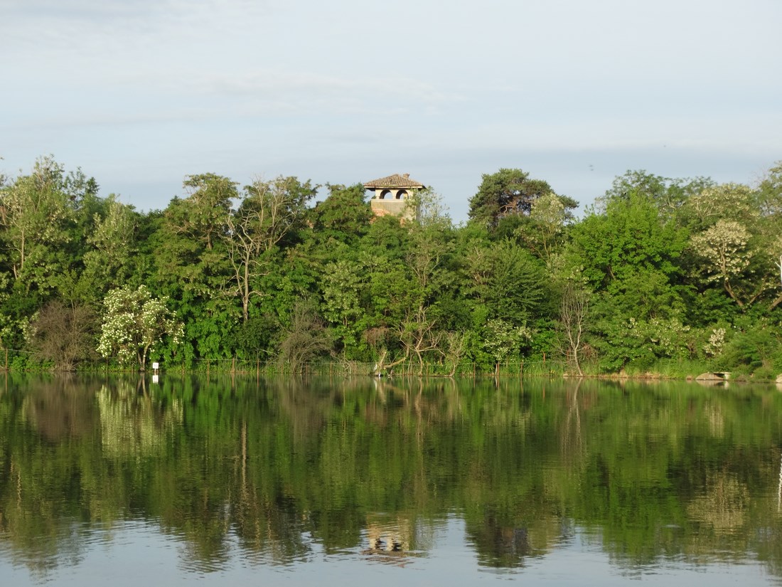 DSC02651 (Copy).JPG