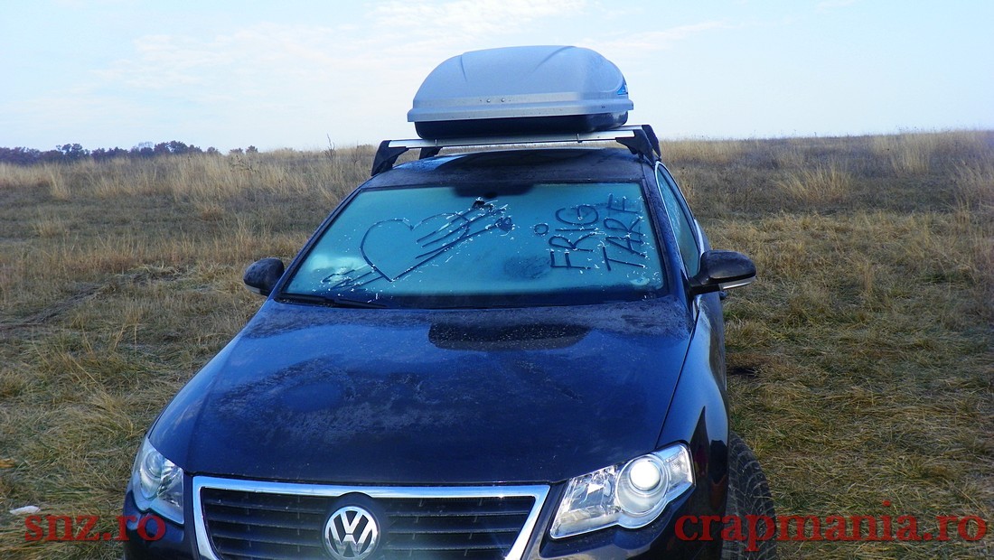 100_0365.jpg