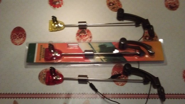 swingeri