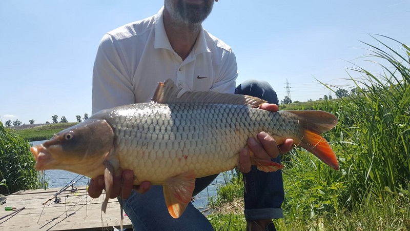 lagunaverde-3703.JPG