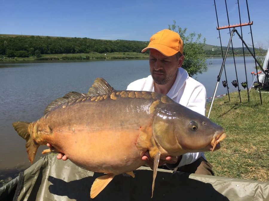 14,72Kg.JPG