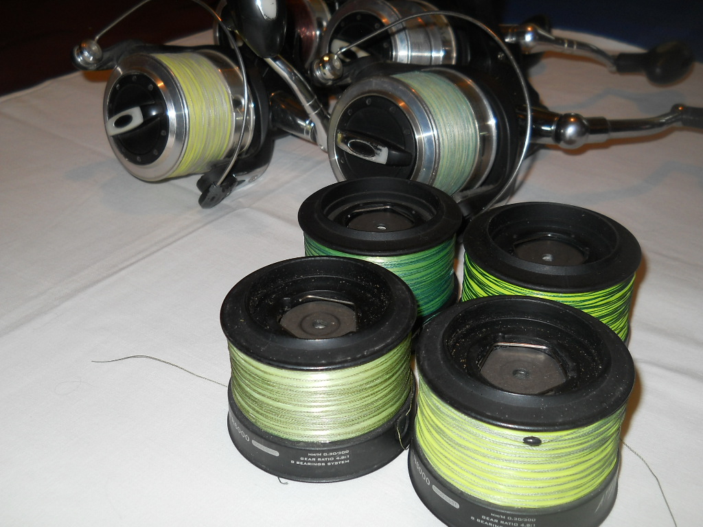 DSCN8546.JPG