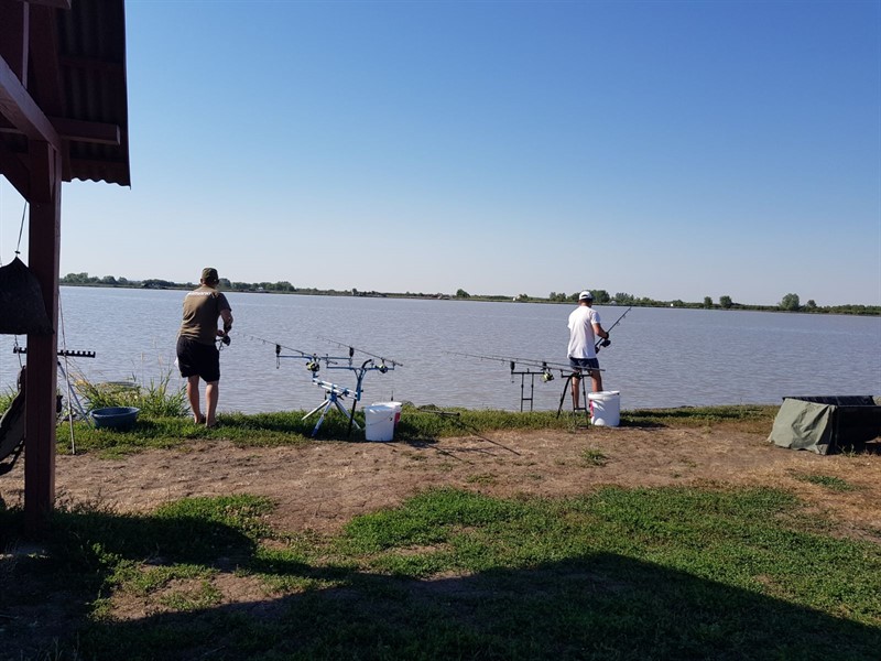 IMG-20170706-WA0117_800x600.jpg