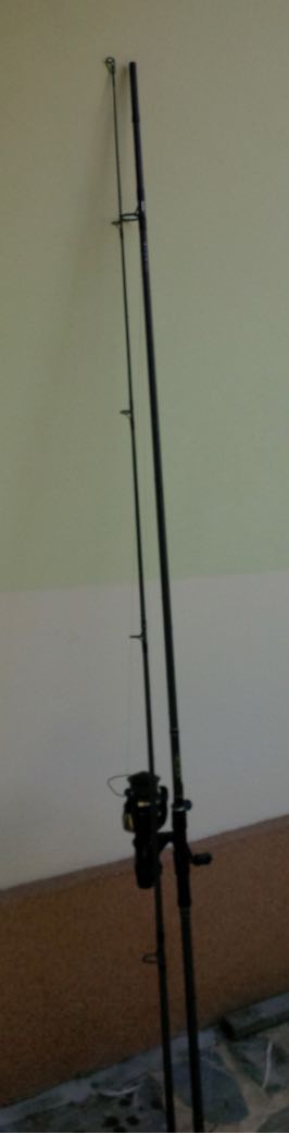 Screen Shot 2017-07-13 at 1.06.20 PM.jpg