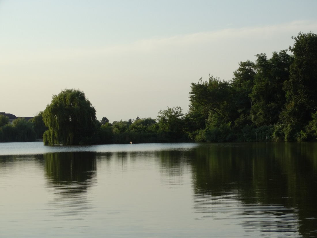 DSC03081 (Copy).JPG