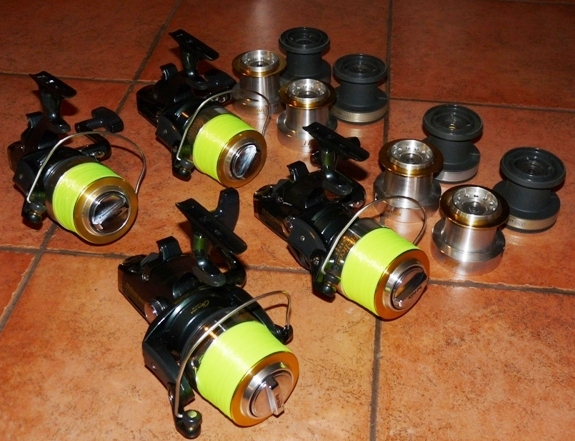 BANAX HELICON  - 2.JPG
