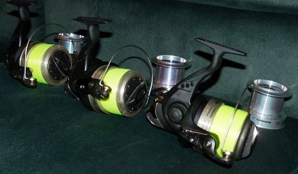 CORMORAN BIG BEN 10PI 5000 - 2.JPG