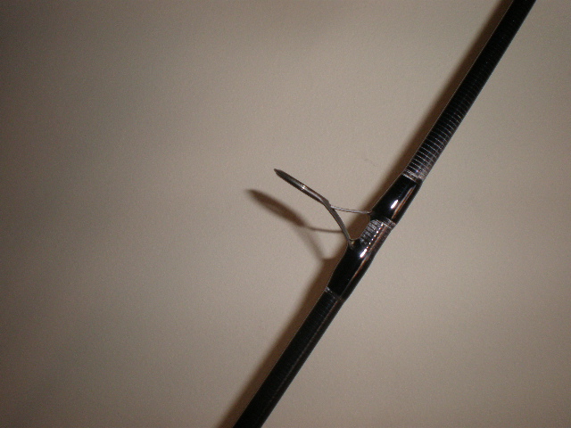 P1040769.JPG