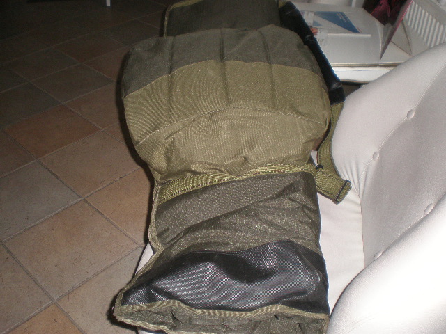 P1040787.JPG