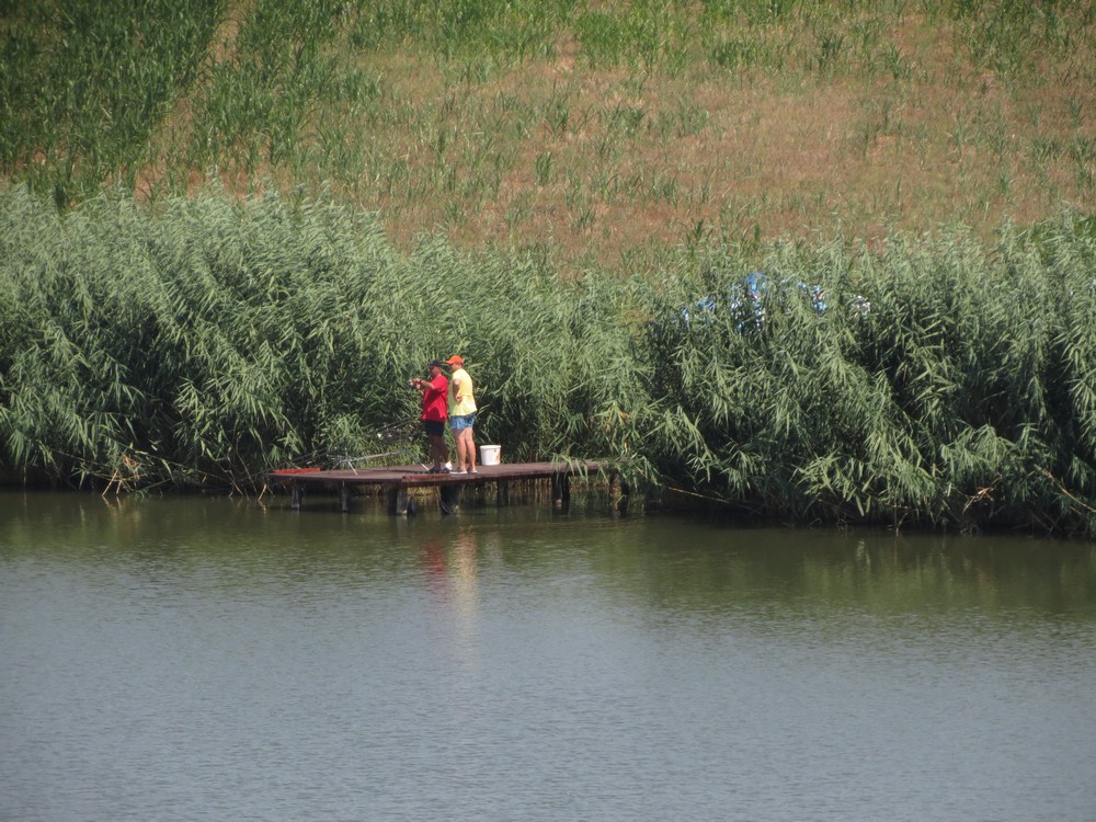 IMG_4389m.jpg