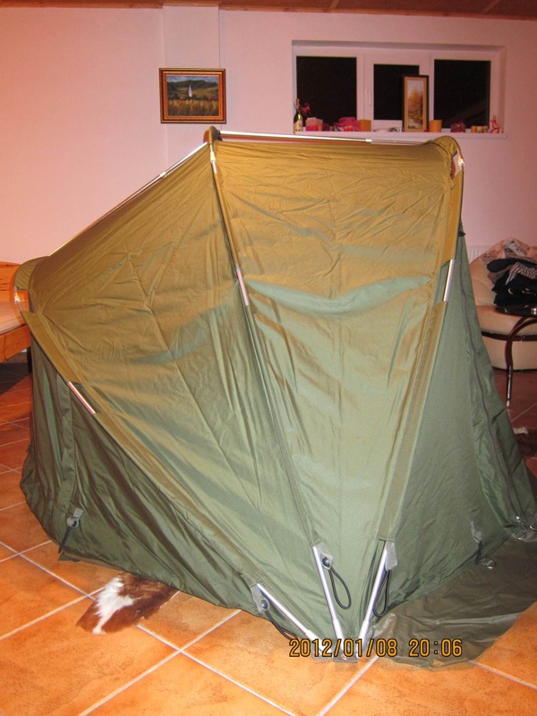 cort Fox 2.jpg