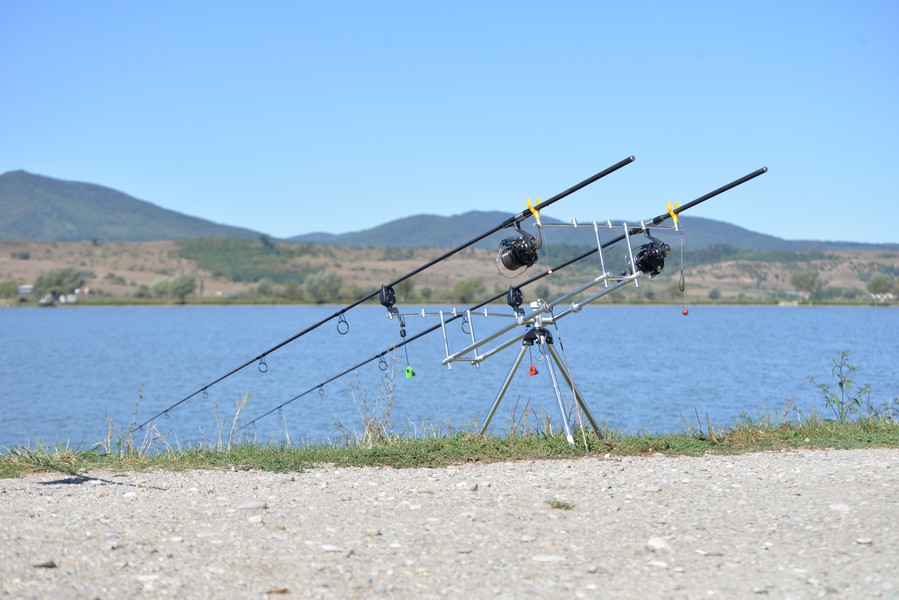 DSC_7313.jpg