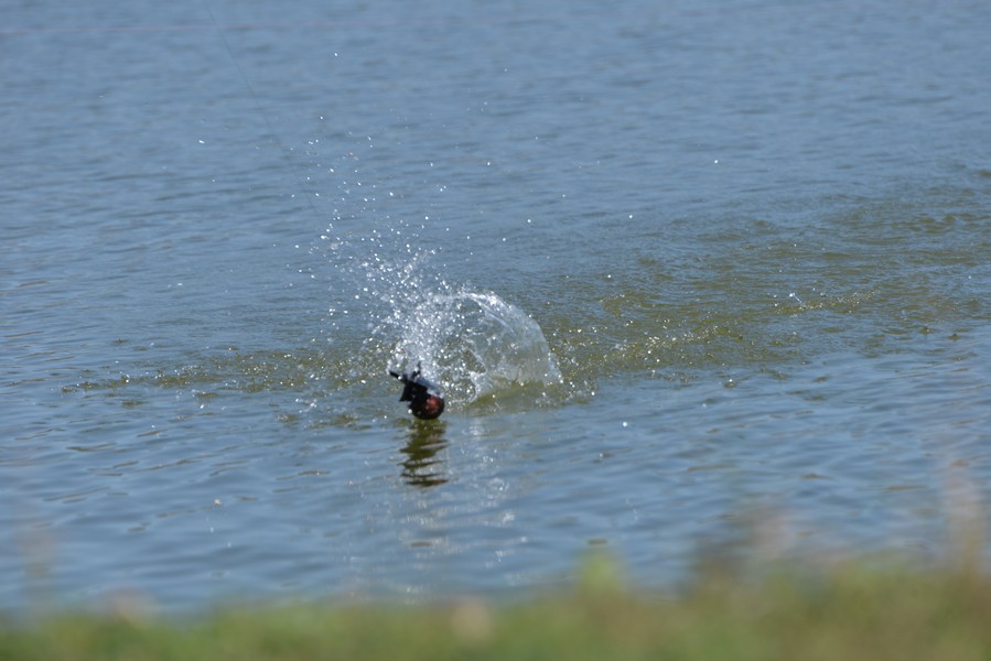 DSC_7415.jpg