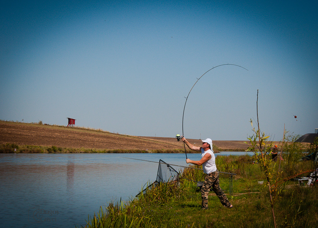 carpbook (53 of 185).jpg