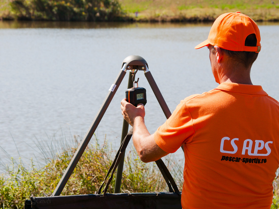 carpbook (61 of 185).jpg