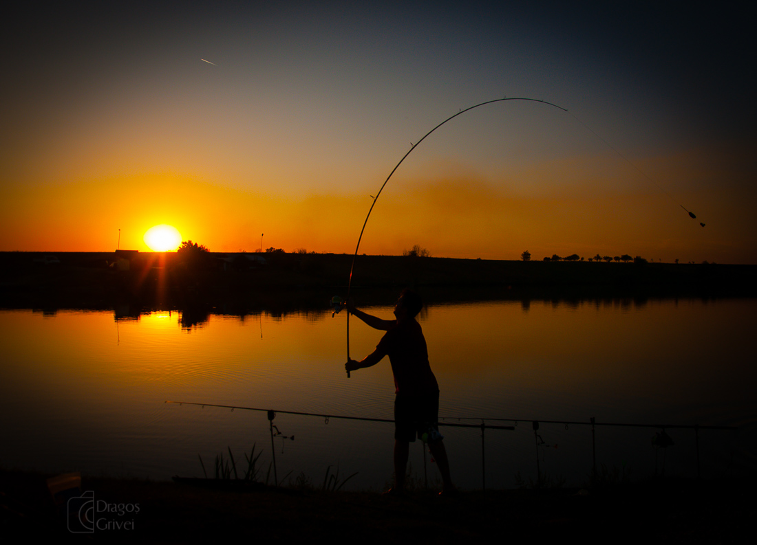 carpbook (80 of 185).jpg