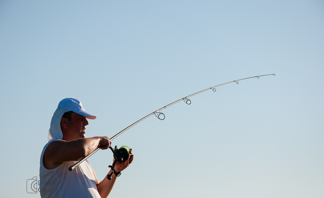 carpbook (76 of 185).jpg