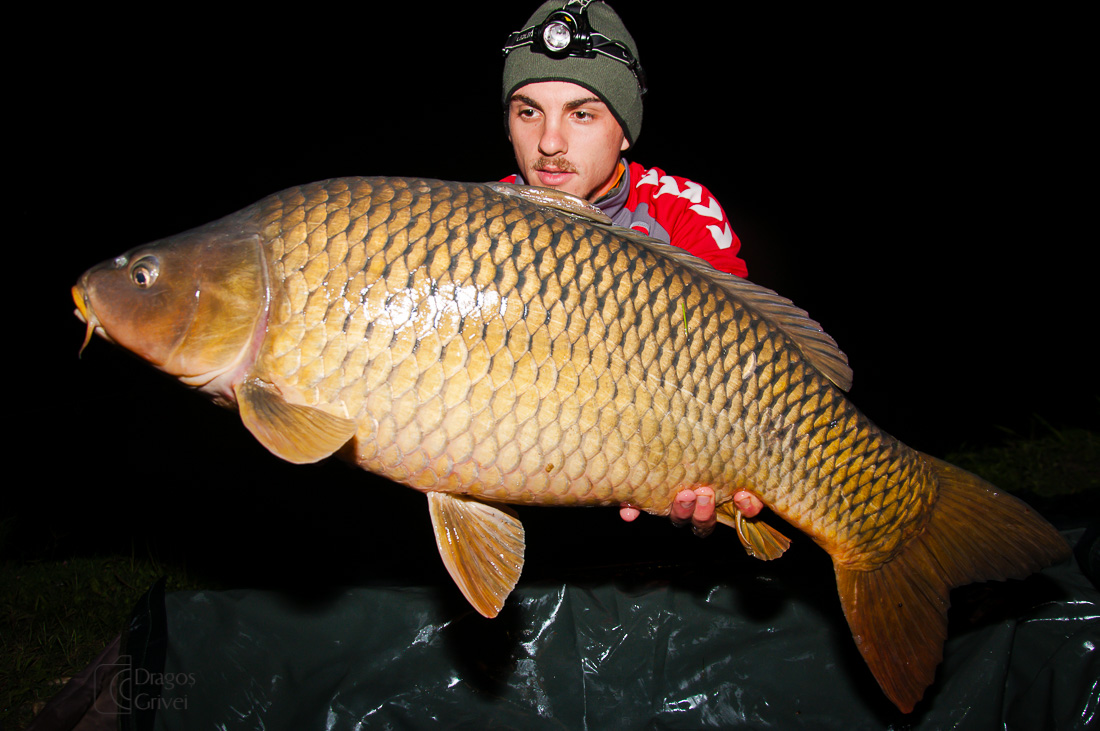 carpbook (88 of 185).jpg