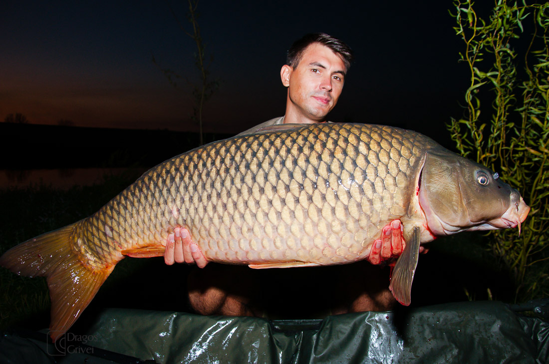 carpbook (84 of 185).jpg