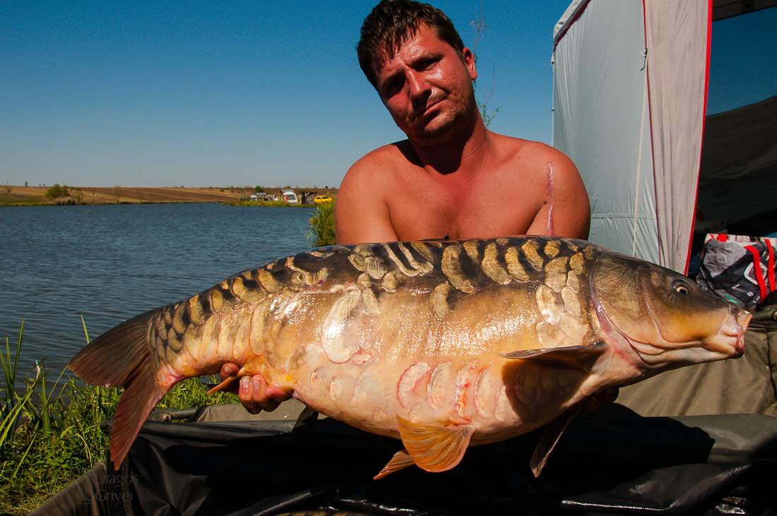 carpbook (110 of 185).jpg