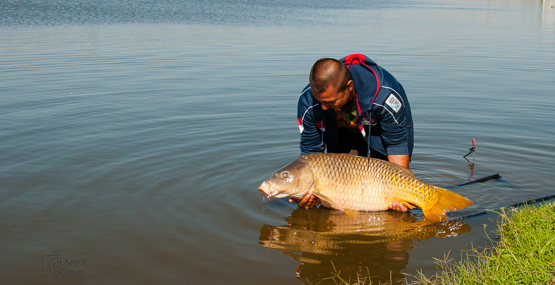 carpbook (103 of 185).jpg