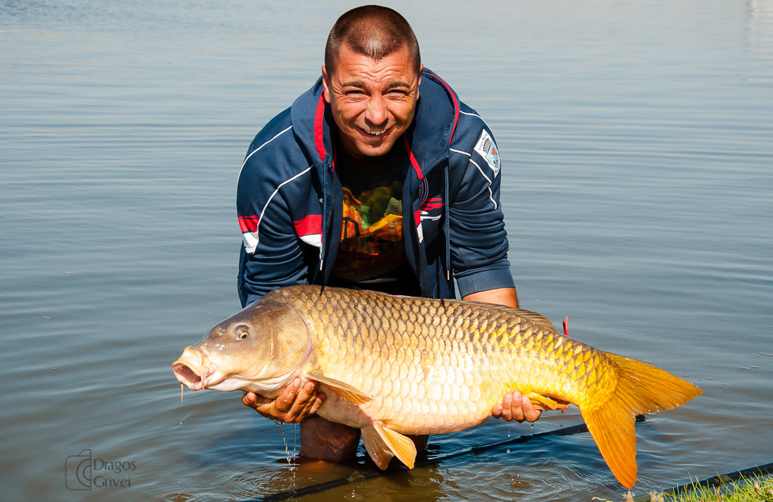 carpbook (102 of 185).jpg