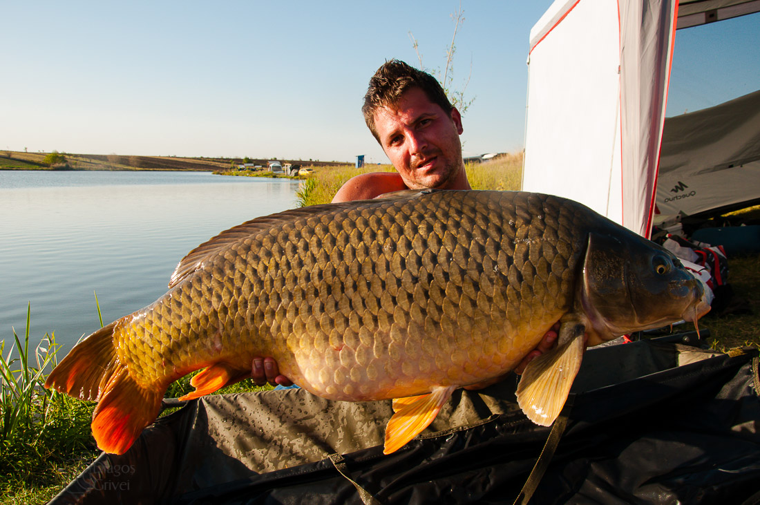 carpbook (116 of 185).jpg