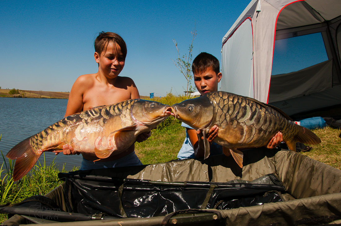 carpbook (111 of 185).jpg