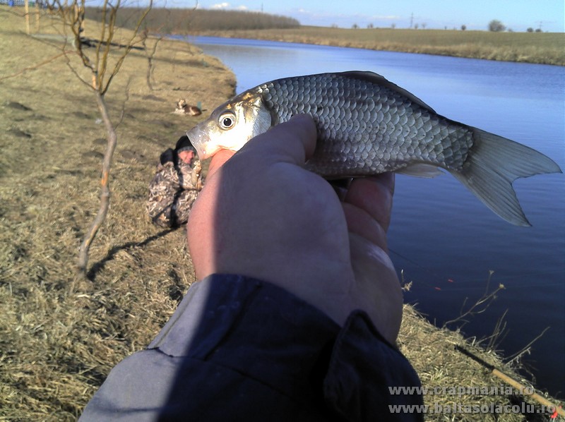 2012-01-14_13-49-43_156.jpg